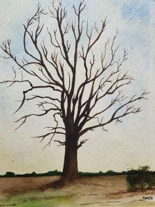 "Tree"