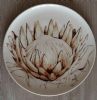 "Protea"