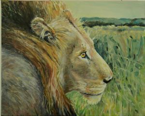 "Kruger Lion STOLEN"