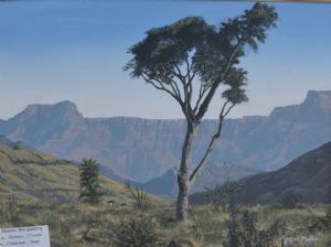 "Cabbage Tree"