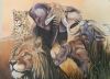 "The Big Five of Africa"