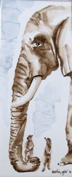 "Elephant and Meerkats"