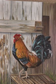"Rooster"