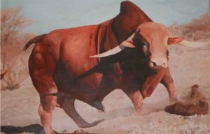 "Red Afrikaner ox"