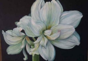 "Amaryllis"