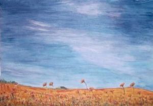 "Namaqualand"
