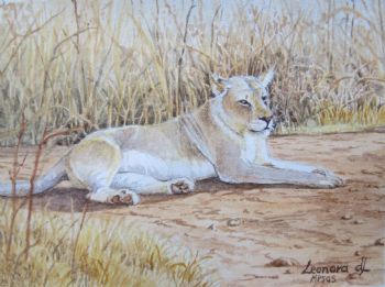 "Miniature- Lioness"