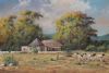 "Sheep farm Western Cape"
