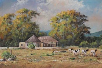 "Sheep farm Western Cape"