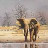 "Elephant at Waterhole"