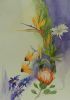 "South African Flowers"