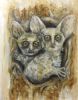 "Nagaapies - Bush Babies"