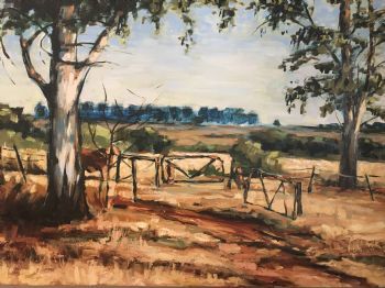 "Two Blue Gum Trees on the Farm Doornspruit"