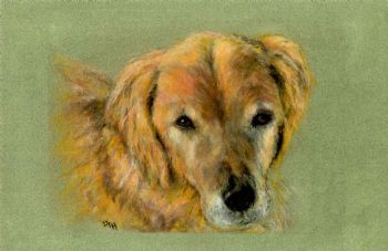 "Faithful Hound in Memory of a Wonderful Dog"