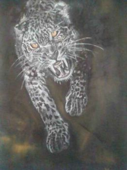 "African Leopard"