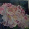 "Pink Ans White Peonies"