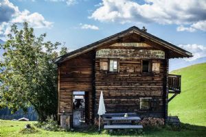 "House on a Hill"