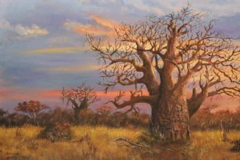 "Baobab Sunset"
