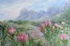 "Proteas in Full Bloom"