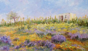"Namaqualand in full bloom"