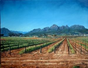 "Empty Stellenbosch win yards"