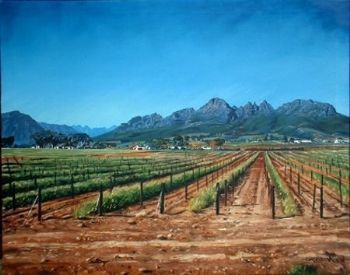 "Empty Stellenbosch win yards"