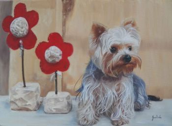 "Yorkie Gucci in Garden"