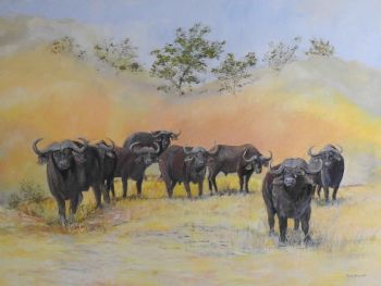 "Buffalo Scared by Lions"