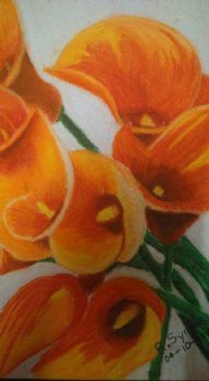 "Flowers "
