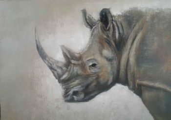 "Rhino 2"