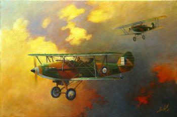 "SAAF Hawker Hartbeest"