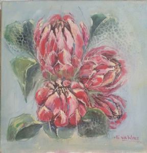 "Proteas"