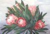 "Protea Arrangement"