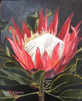 "Protea 3"