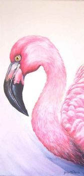 "Flamingo"