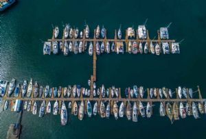 "Yacht Basin"