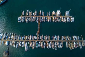 "Yacht Basin"