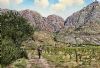 "Mountains at Slanghoek"