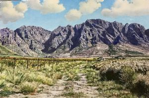 "Slanghoek"