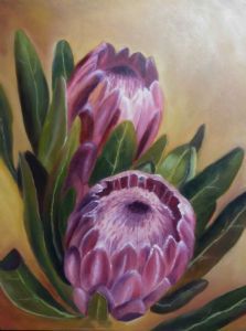 "Protea's"