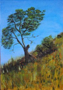 "Tree On a Hill"