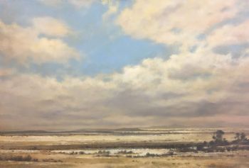 "Karoo Bridge Near Hobhouse"