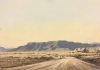 "Cattle Grid, Karoo"