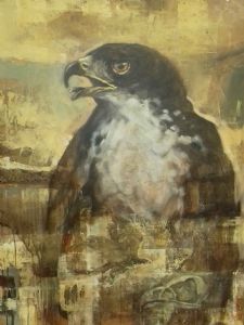 "Black Sparrow Hawk Study (1994)"