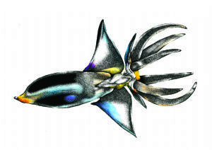 "Alien Squid"