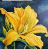 "Yellow Lilly"