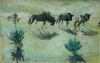 "Blue Wildebeest "