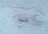 "Diving Kingfisher"