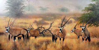 "Oryx 1"