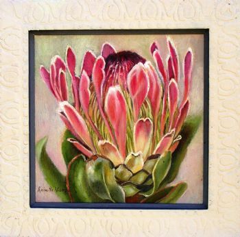 "Pink Protea Boxed in Frame"